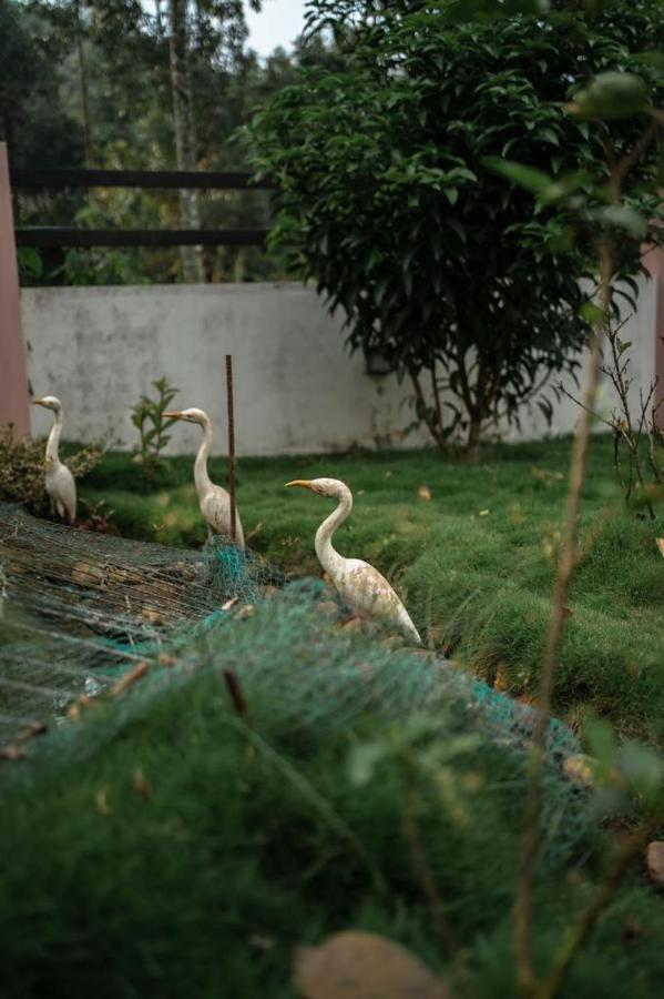 Vythiri Villas Wayanad Exterior foto